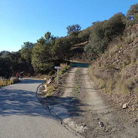 El Cerro *